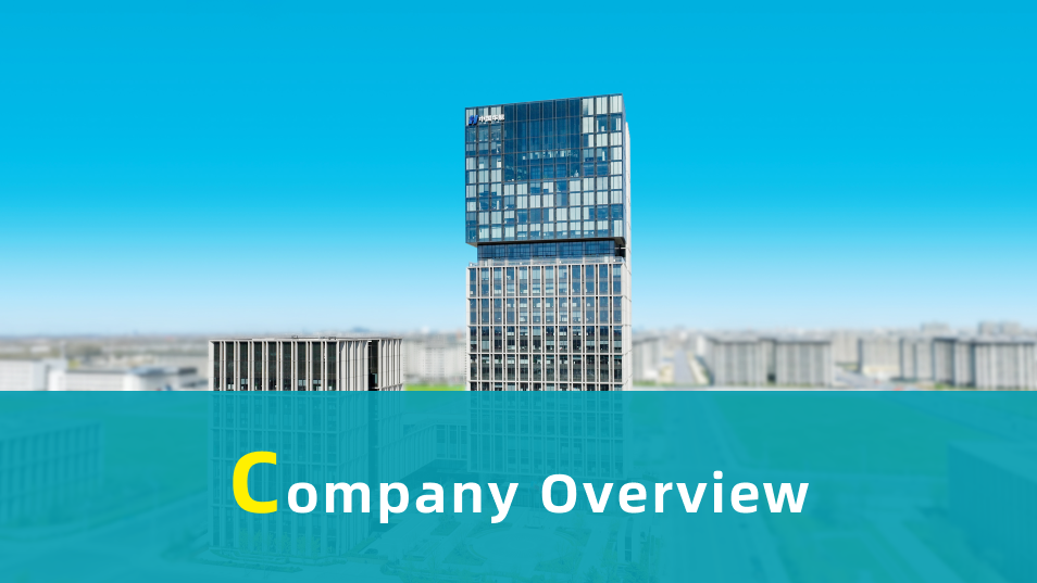 companyoverviewjpg